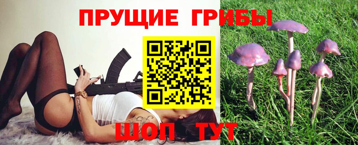 Псилоцибиновые грибы ЛСД  Вышний Волочёк  Галлюциногенные грибы GOLDEN TEACHER 