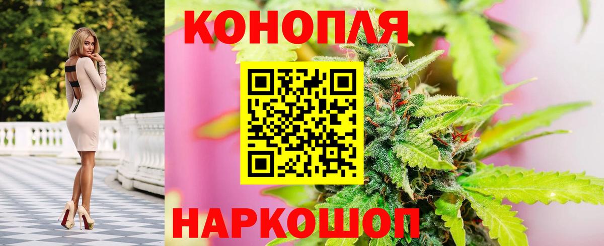 Канабис OG Kush Вышний Волочёк